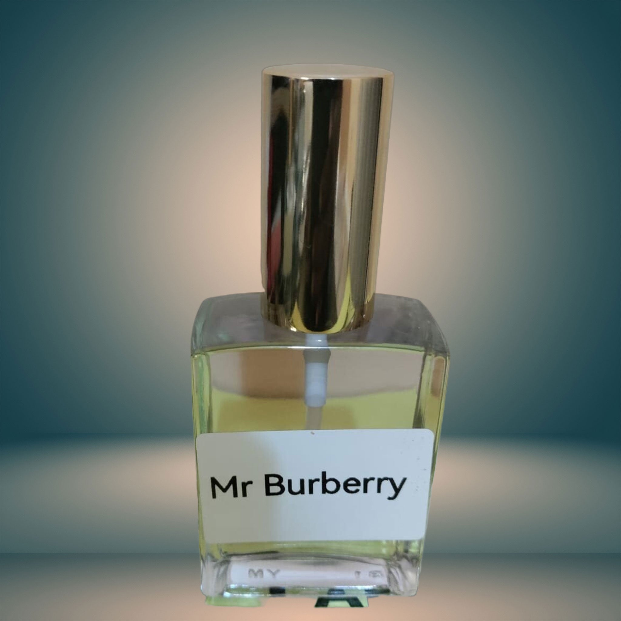 MR BURBERRY